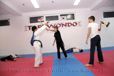 taekwondo kwon training